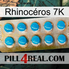 Rhinocéros 7K new09
